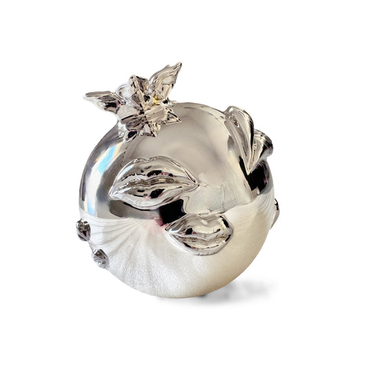 EVERYBODYs DARLING - Silver Mirror Hydro-Chrome